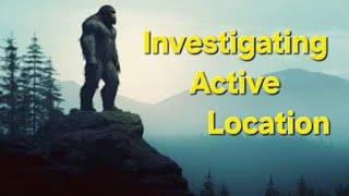 Investigating Active Location