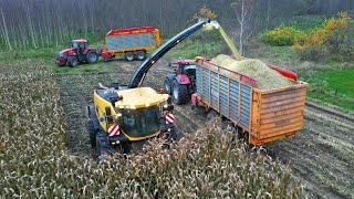 Mais Silage 2024 | New Holland FR9060 + McCormick + Case IH | Sundermeijer