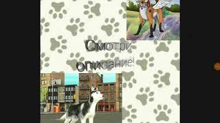 Аккаунты dog sim 5 аккаунтов
