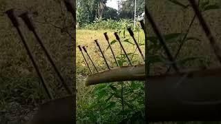Alat jebakan burung perkutut #perkutut