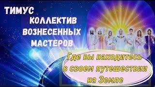 Где вы находитесь в своем путешествии на Земле ∞Тимус: Коллектив Вознесенных Мастеров