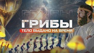 Объелся грибов и увидел правду! Ты не тело!