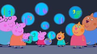 A Day At The Aquarium  | Peppa Pig Official Full Episodes