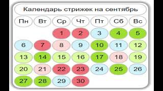 Календарь стрижек на сентябрь: когда категорически нельзя идти в парикмахерскую.