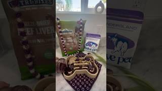 Purple theme dinner  🪻#dogfood #purple #fyp #pets #doberman #dobie #petfood #theme #food
