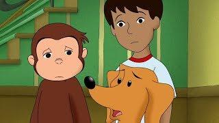 Curious George  Big, Bad Hundley Kids CartoonKids MoviesVideos for Kids