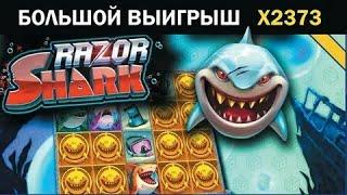 Заносящий слот Razor Shark , смотрим без отрыва заносы в слоте