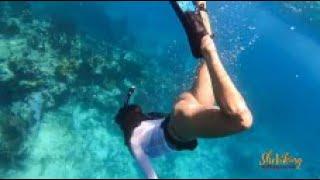 Free Diving An Underwater  Statue - The Christ Of The Deep Fun Swimming Chasing Big Fish, Key Largo