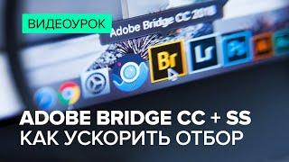 Adobe Bridge и StockSubmitter за 10 минут: мой рабочий процесс от съемки до приемки на Shutterstock