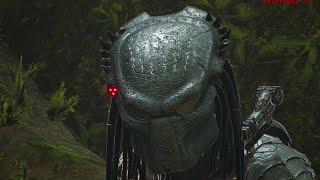 Stream! Predator Hunting Grounds | Hunt or Be Hunted 10 12 2024