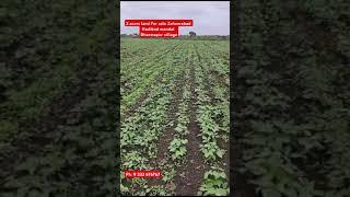 3 Acres land for sale in Zaheerabad