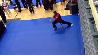 Alfredo Vidal performs BB Form with Sword at the 2014 International Martial Arts Festival