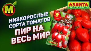  Низкорослые СОРТА ТОМАТОВ 2021. Сорт "ПИР НА ВЕСЬ МИР"