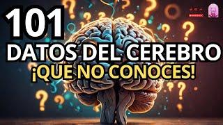 101 COSAS sobre el CEREBRO HUMANO Que No Conoces