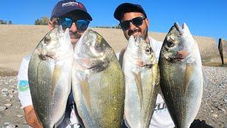 grandes DORADAS a SURFCASTING, pesca complicada pero muy satisfactoria, SURFCASTING GRANADA