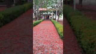 Isn't it heavenly? #iiser #iiserbhopal #rain #weather #viralaudio
