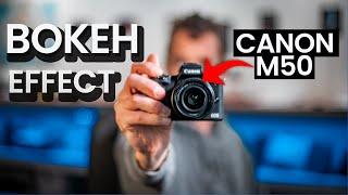 How To Get A Blurry Background On Canon M50 (Bokeh Effect)