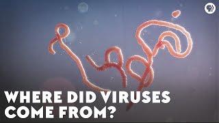 Where Did Viruses Come From?