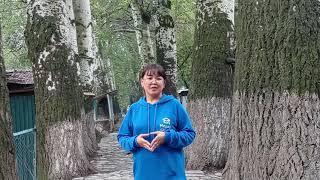 Нургүл Тайыр кызы