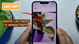 How To Convert Live Photos To Normal Photo in iPhone