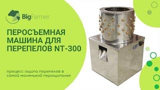 Перосъемная машина для перепелов NT-300