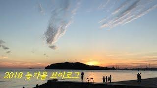 ｜VLOG｜2018 늦가을｜이태원 베제투스｜영흥도 뻘다방