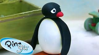 Pingu's Lost Ball!  | Pingu - Official Channel | Cartoons For Kids