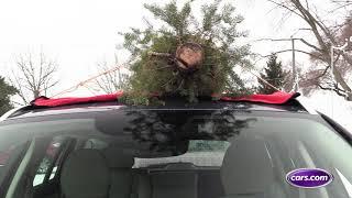 How to Tie a Christmas Tree on the Car | Cars.com