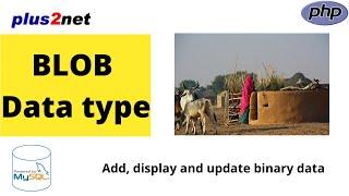Add, update & display Unstructured binary data like image or multimedia files in MySQL Blob columns