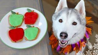 Crunchy Apple Cookies For Dogs  DIY Dog Treats