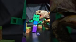 Minecraft ASMR Mukbang Eating Zombie  Turtle Tortoise