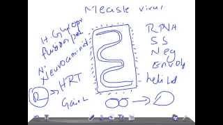 Medical Video Lecture: Measle virus, Paramyxovirus genus, Microbiology