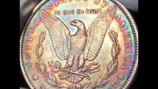 Toned Coins! First Toner!! Rare 1883 P Morgan Dollar!