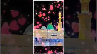 Sarkar Madina Se Nisbat Ho To Aisi Ho l Chand Afzal Qadri 