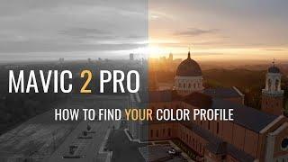 DJI Mavic 2 Pro | Color Profile | Best Camera Settings