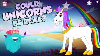 Are Unicorns Real? | One Horn Horse Mystery | Did Unicorns Ever Exist? | The Dr. Binocs Show