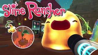 Slime Rancher | #21 | Золотой имбирь, золотые слаймы и куча золотых плортов