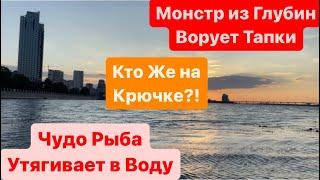 Монстр из ГлубинЗатянул в ВодуЗабрал ТапочкиМощная Поклевка Неведомого ЗверяРека ДнепрМор Рыбы