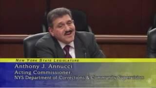 NY Corrections Commissioner Annucci - Joint Budget Hearing - Public Protection - 01-29-19 Albany, NY