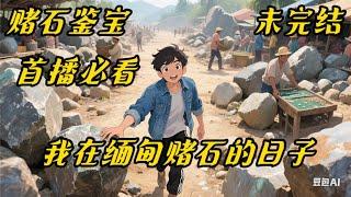 《我在缅甸赌石的日子 》#赌石#鉴宝#爽文#人在缅国矿区，获得了赌石异能，还自带随身小空间。左手摸一下翡翠，就能知道品质高低。那么，所有的极品翡翠原石都是我的，很合理吧？