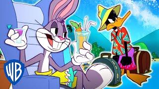 Looney Tunes | Summer Vacation! | WB Kids