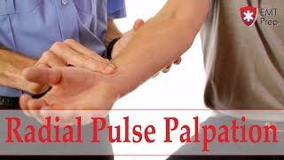 How to Obtain a Radial Pulse - EMTprep.com