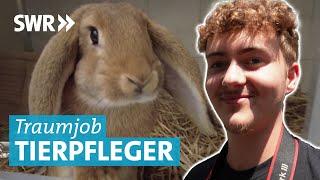 Ausbildung zum Tierpfleger im Tierheim Esslingen: Hasen, Hamster und Hunde füttern und kuscheln