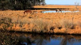 Rick Suddeth: Chincoteague Island, Va (HD)