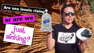 Are sea levels rising ⬆️ or are we just sinking?! ⬇️