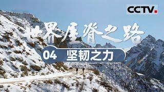 《世界屋脊之路》04 坚韧之力：川藏公路与青藏公路 在壮美群山中的抗争与坚守！【CCTV纪录】