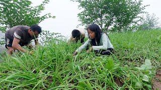 Anuma & Sanuwa  helping to father Bhumi || bhumi family in the village @bhumivillagevlogs