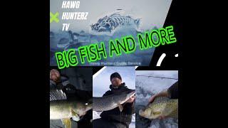 Hawg Hunterz TV Fishing Videos (Tips and Tactics, Product Reviews, Walleyes, Northern Pike, Panfish)
