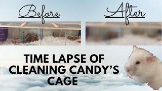 Time-Lapse Of Cleaning Candy’s Cage