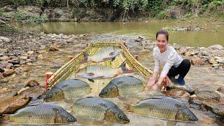 Full video of Ana's 45 day fishing trip in the stream. Caught a lot of fish and sold them.